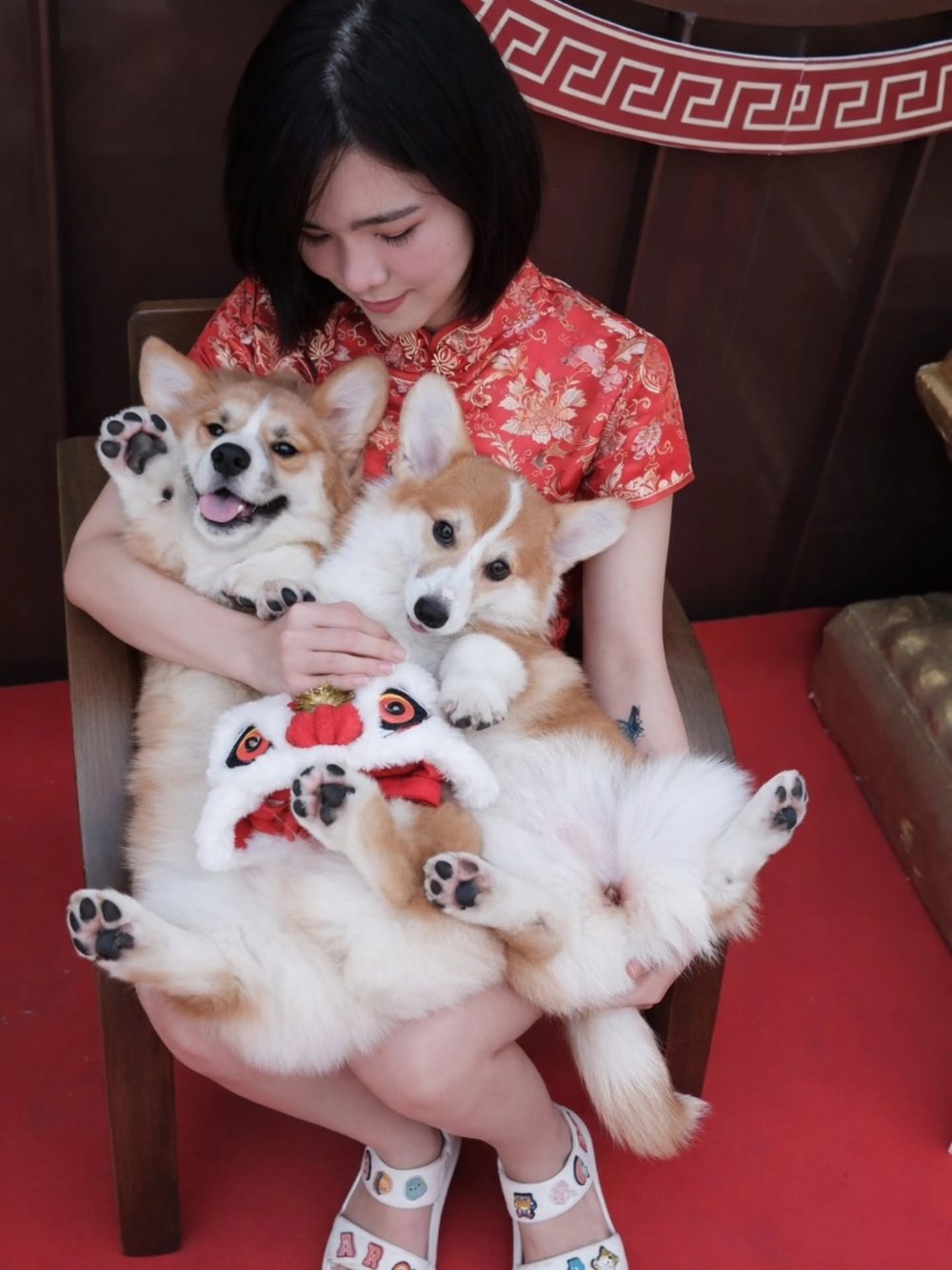 คอร์กี้กับเจ้าของ