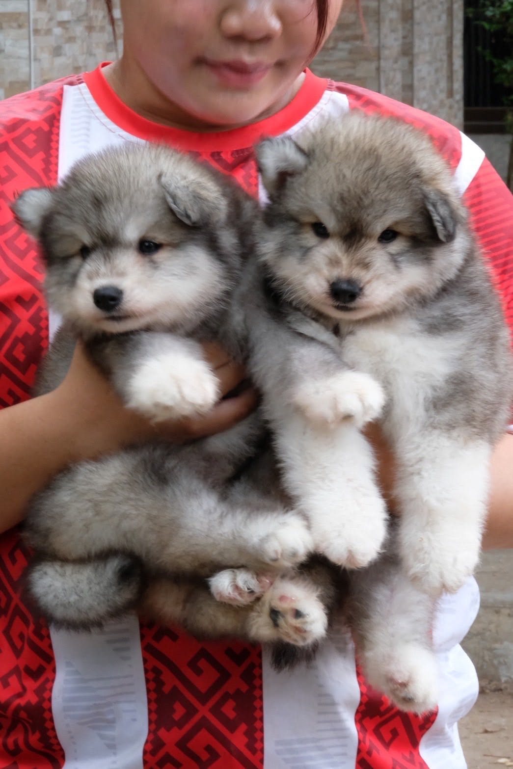 Timber รูปที่ 2