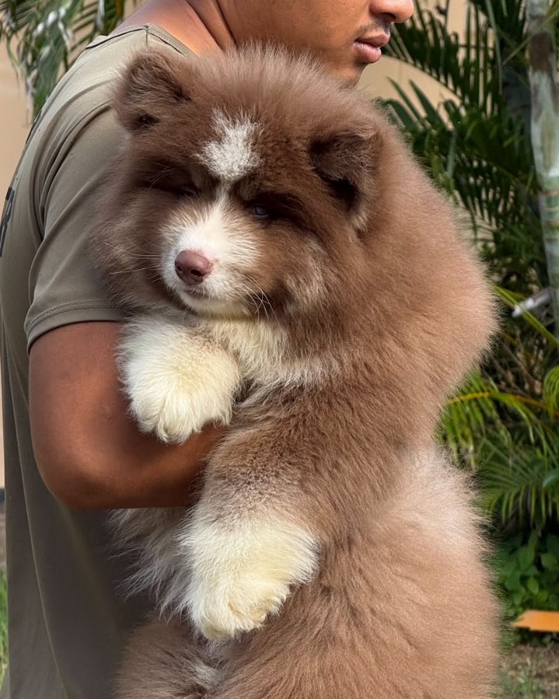 Mocha Signature ภาพที่ 4